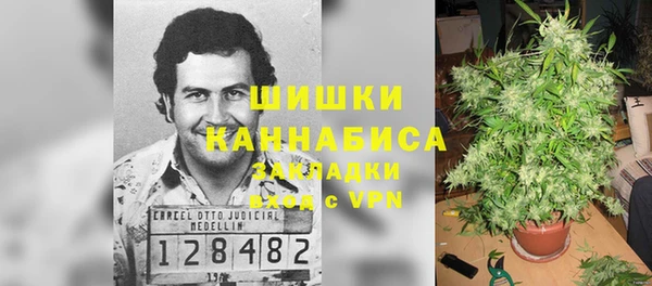 прущие крисы Армянск