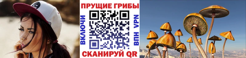 MEGA зеркало  Мещовск  Галлюциногенные грибы ЛСД 